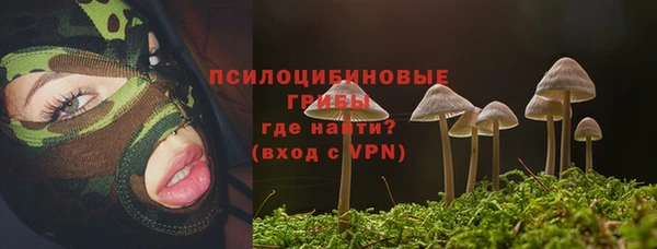 экстази Вяземский