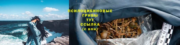 экстази Вяземский