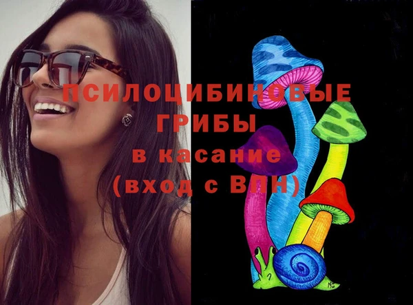 экстази Вяземский