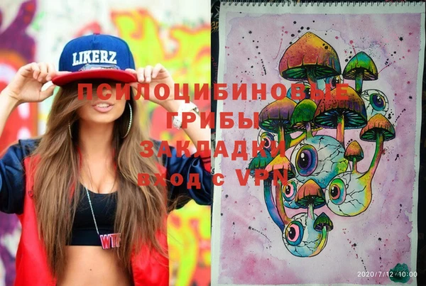 дживик Вязники